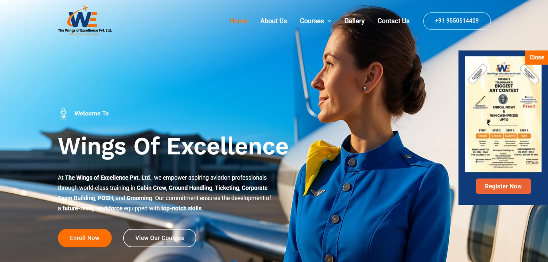The Wings of Excellence website preview