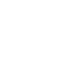 Schema & Structured Data Implementation